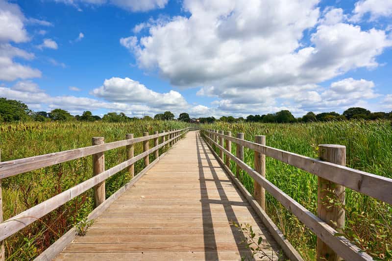 Minerva Heights - Image 3