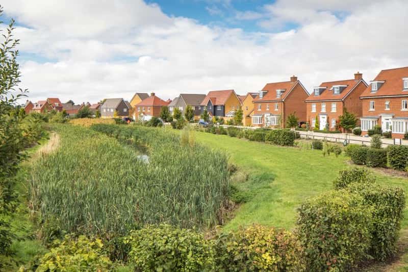 Orchard Green - Image 7