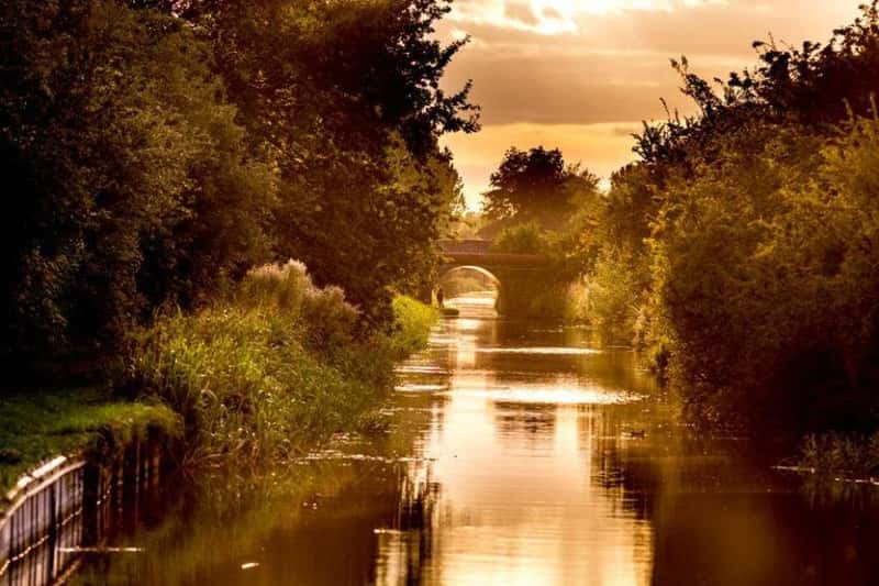 Orchard Green - Image 10