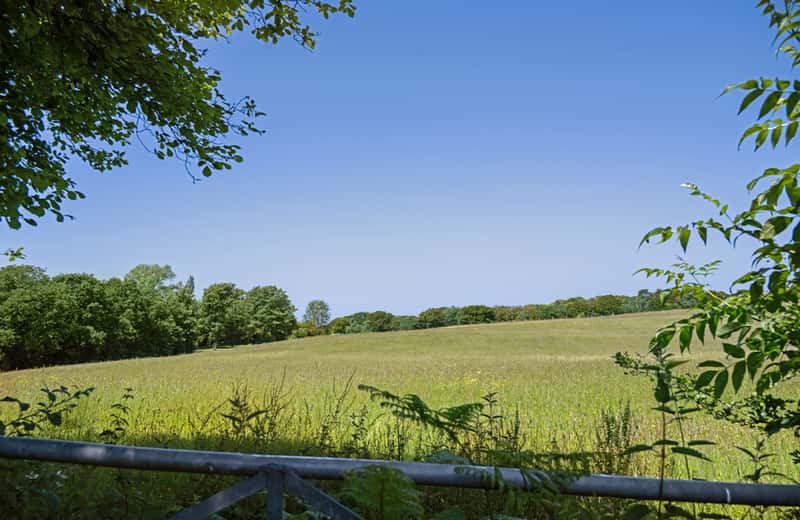 Summerhill Gardens - Image 10