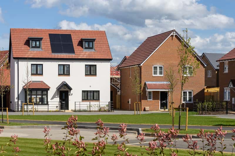 The Skylarks - Image 3