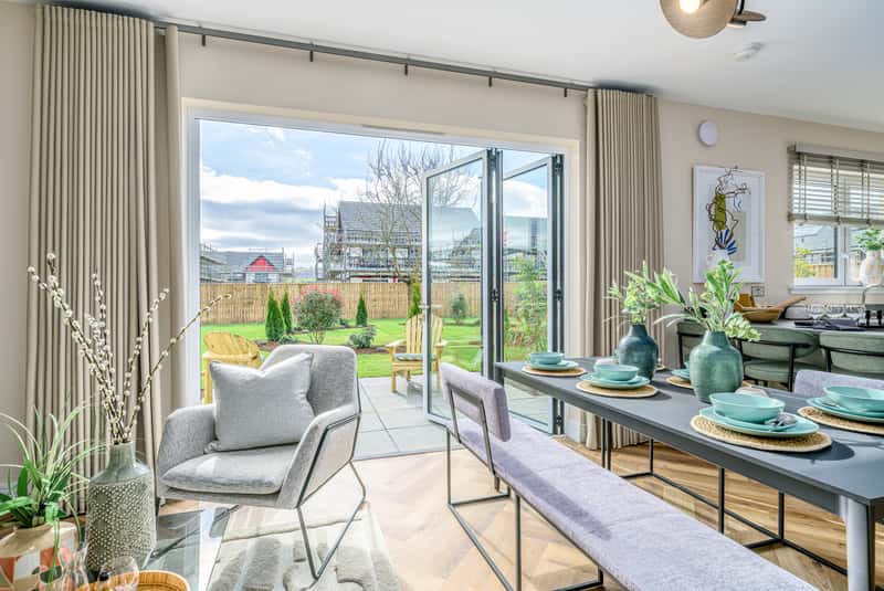 Ballagan Woods - Image 3