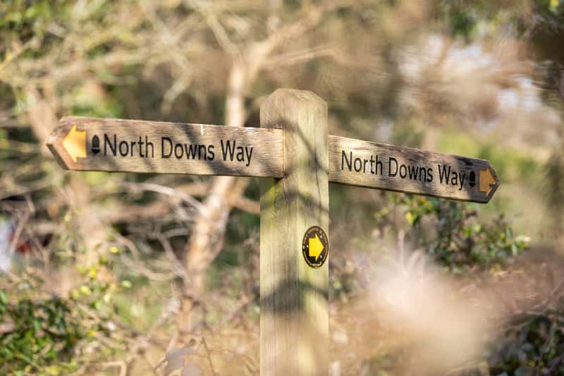 Birchwood, Farnham, Surrey - Image 13