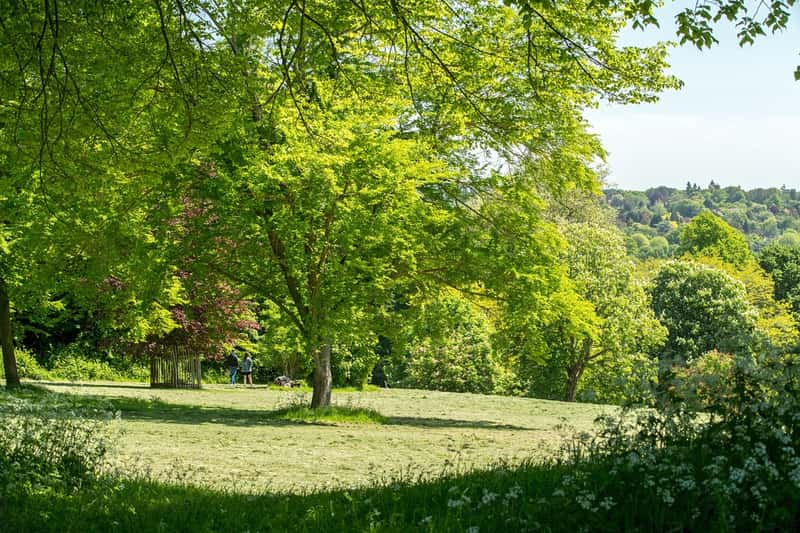 Birchwood, Farnham, Surrey - Image 7