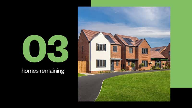 Chestnut Fields - Image 1