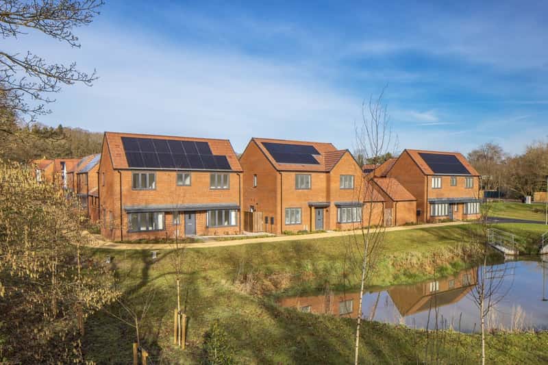 Chestnut Fields - Image 10