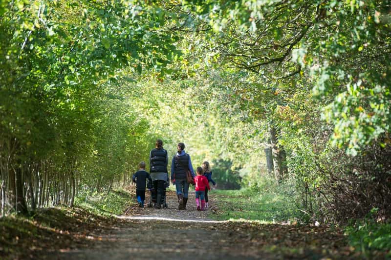 Ingatestone Grove, Ingatestone - Image 7