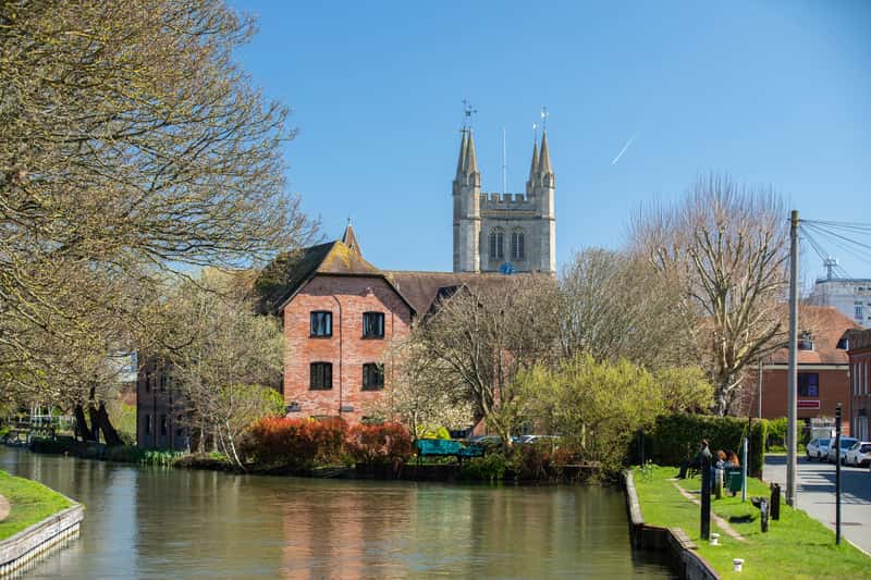 Knights Grove - Image 3