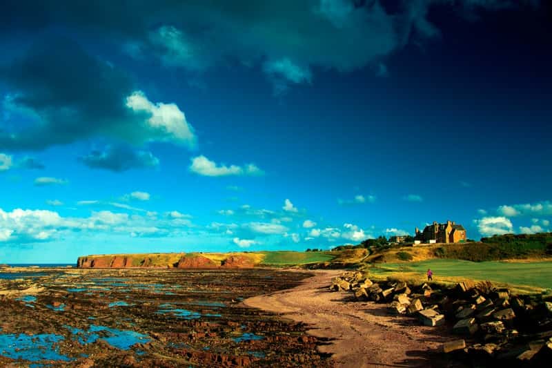 Longbanks Green - Image 7