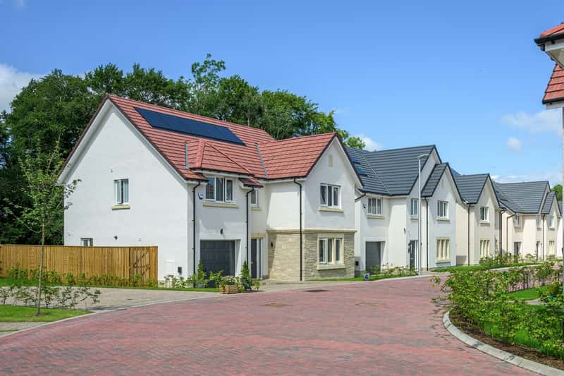 Pinefields, Livingston - Image 4