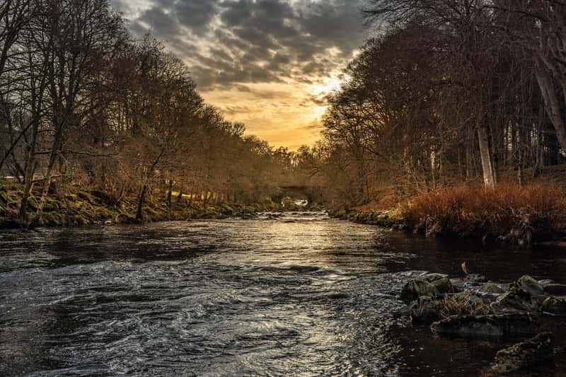 Raemoir Park, Banchory - Image 12