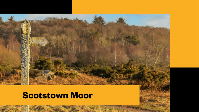 Silverburn - Image 6