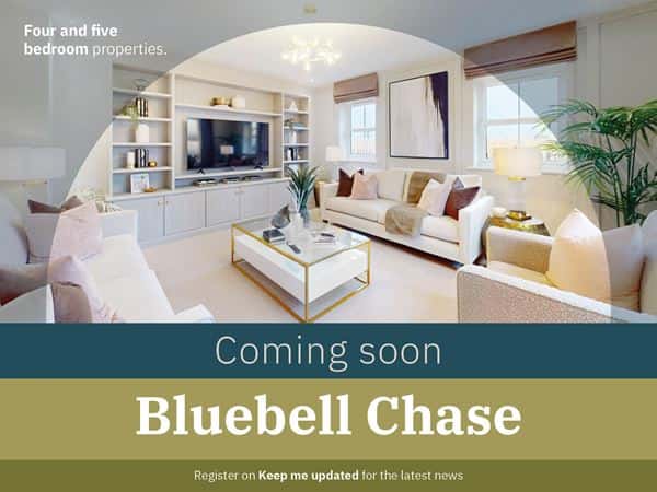 Bluebell Chase - Image 1