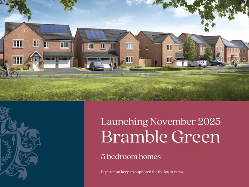Bramble Green - Image 1
