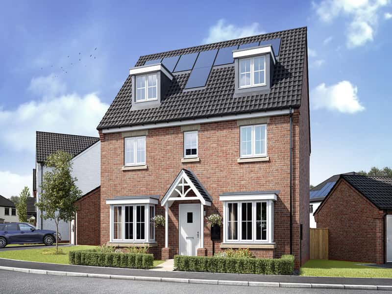 Bramble Green - Image 12