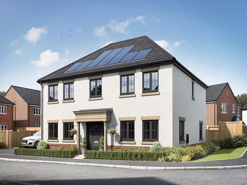 Bramble Green - Image 2