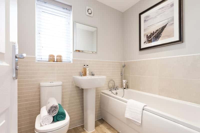 Festival Park - Image 11