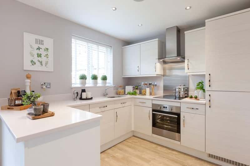 Festival Park - Image 9