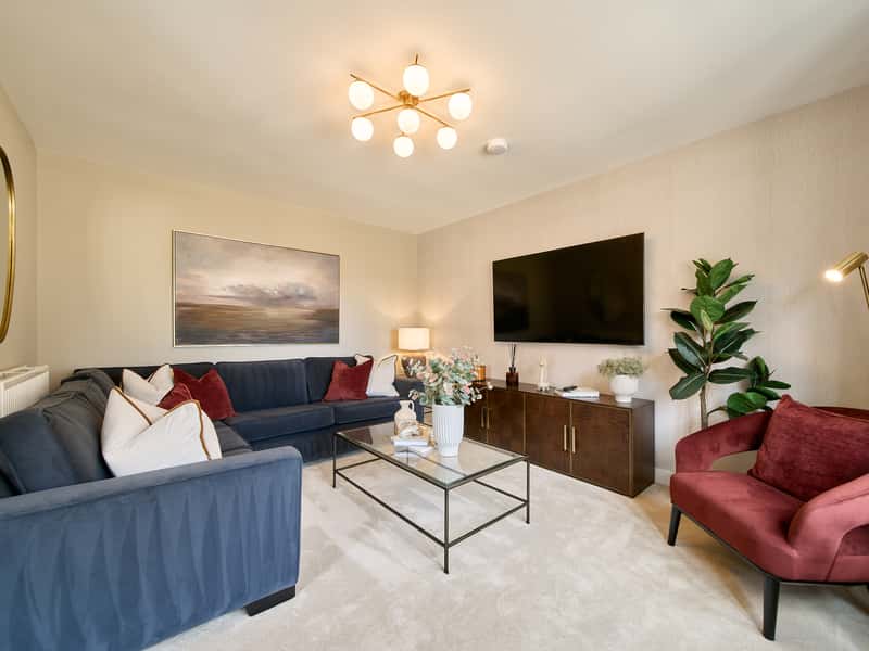 Forest View - Image 6