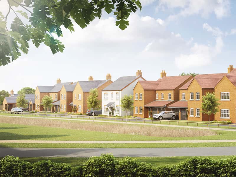 Germany Beck - Image 2