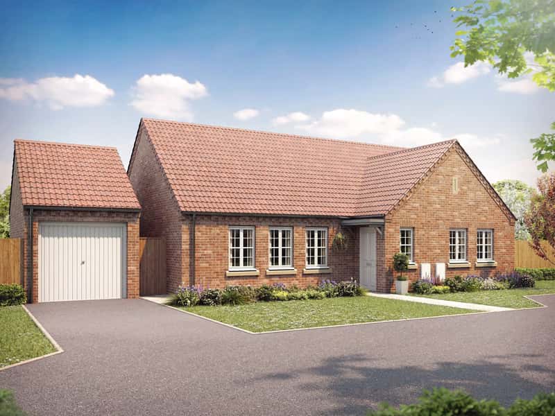 Germany Beck - Image 3