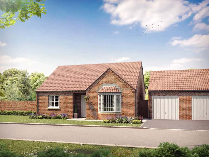 Germany Beck - Image 5