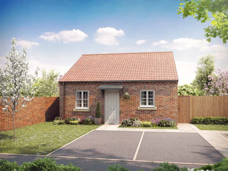 Germany Beck - Image 6