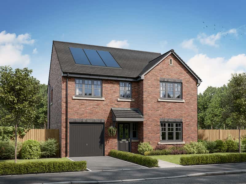 Lyons Meadow - Image 1