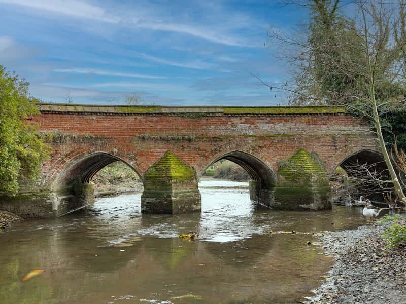 Rose Manor - Image 12