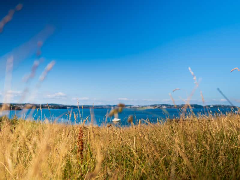 The Orchards - Image 4