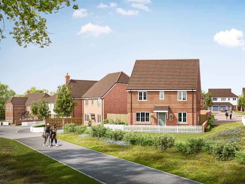 The Paddocks - Image 1