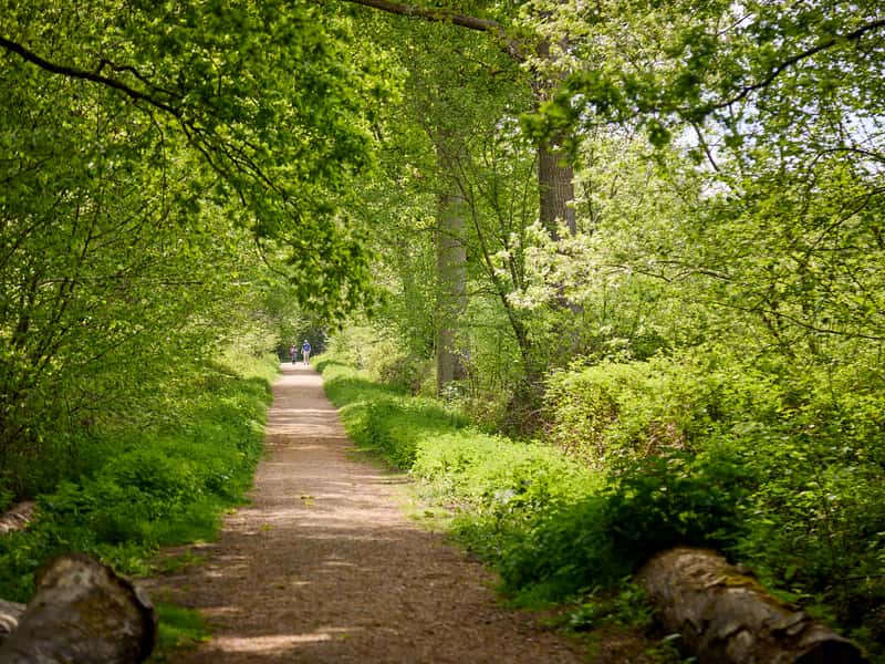 The Paddocks - Image 3