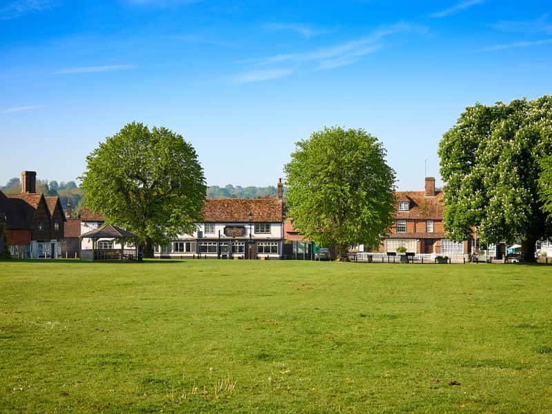 The Paddocks - Image 5