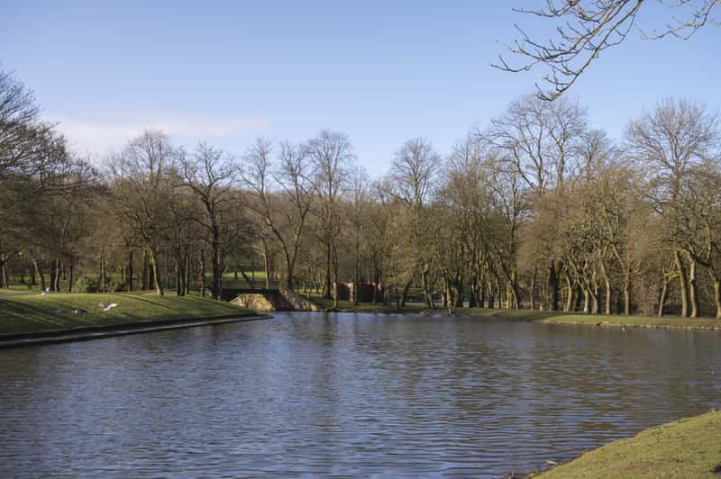 Brookfield Vale - Image 2