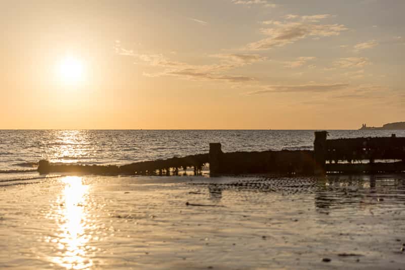 Greenwood Gardens - Image 6