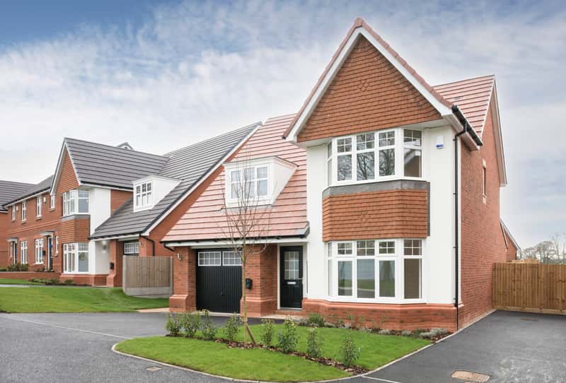 Kingmakers View - Image 7