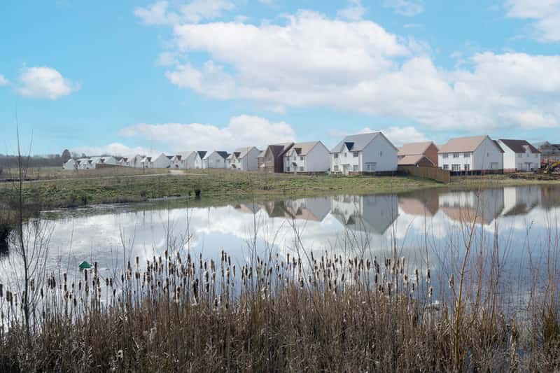 The Burrows - Image 8