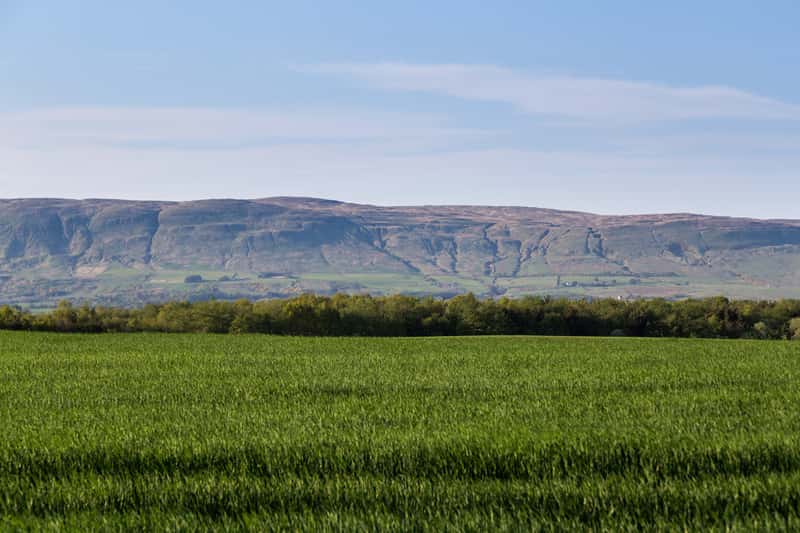 Auchinleck Village - Image 10