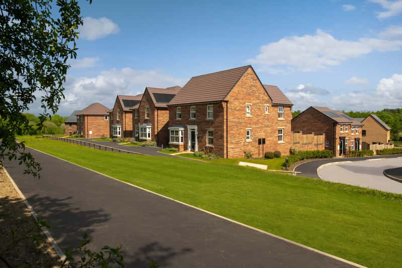 Bluebell Meadows - Image 1