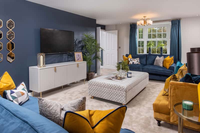 Bluebell Meadows - Image 4