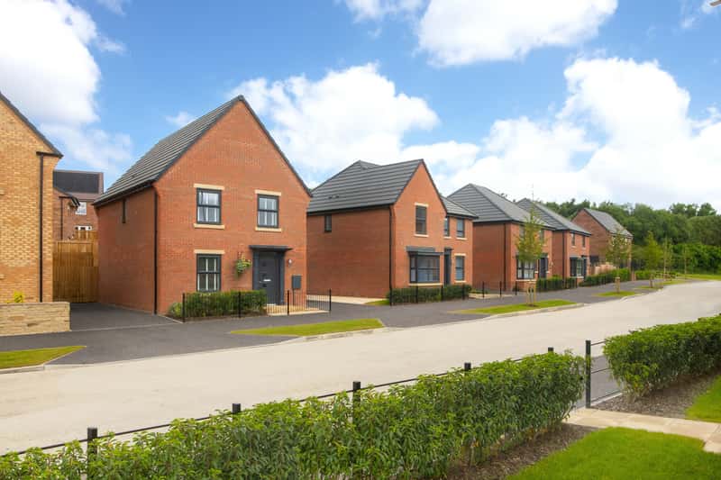 Bluebell Meadows - Image 7