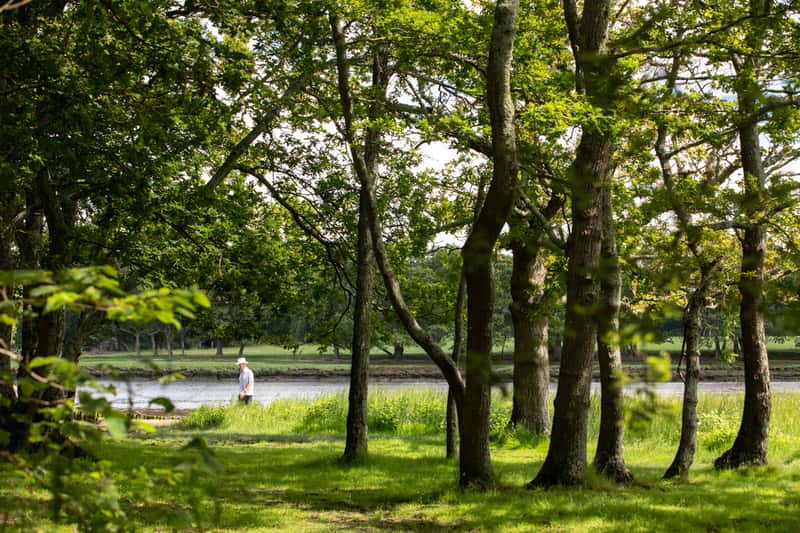 Boclair Mews - Image 10