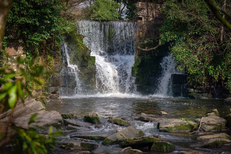 David Wilson Homes @ Pentref Llewelyn - Image 8