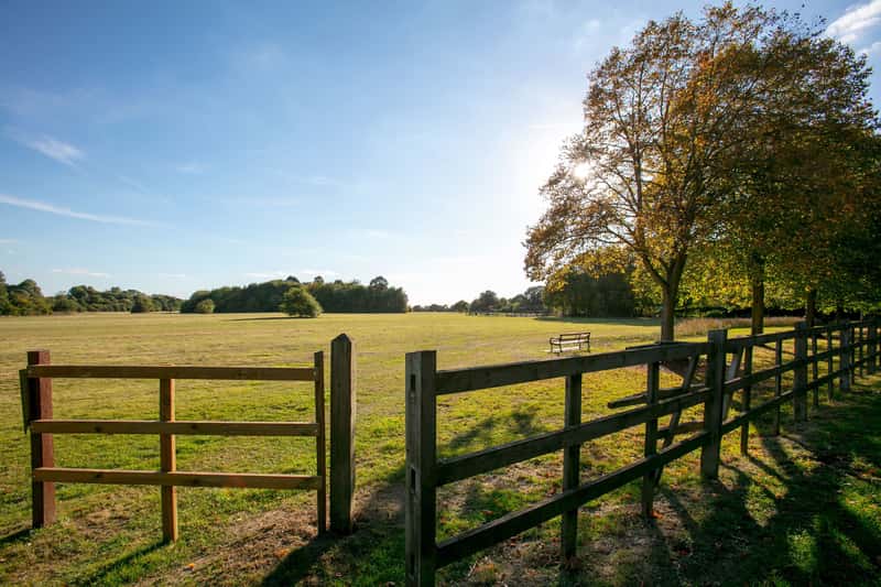 DWH @ Cornhill Village - Image 9