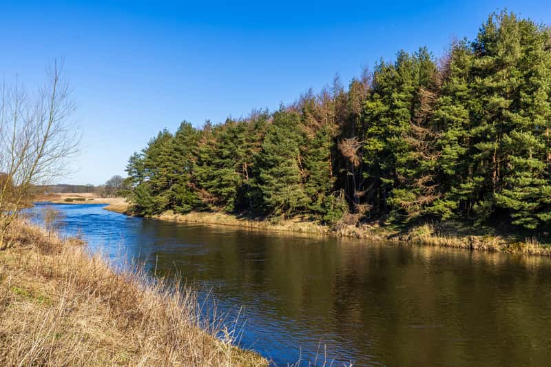 DWH @ Otter Stone Manor - Image 5