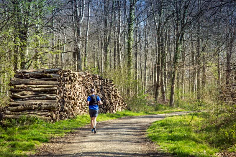 Ecclesden Park - Image 9
