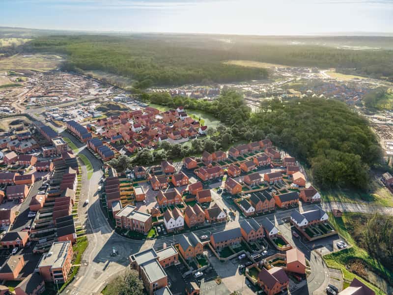 Forest Walk - Image 2