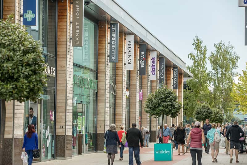 Forest Walk - Image 7