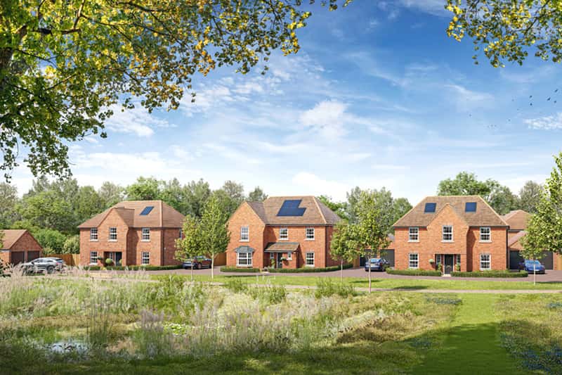 Fossil Bay - Image 4