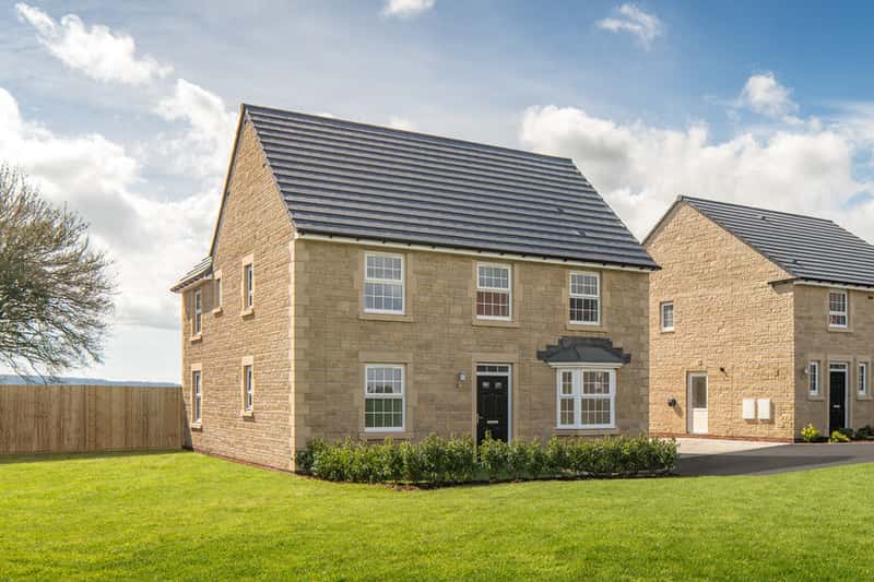 Francis Fields - Image 1